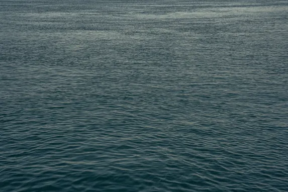 カジノ ジャックポット モリー サポート